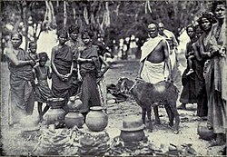 Castes and Tribes of Southern India, Volume 6 - Image 1.jpg