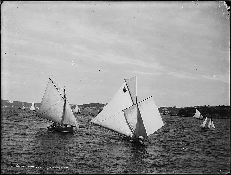 File:Centennial Regatta, Sydney (2362663293).jpg