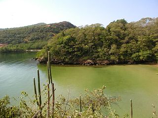 Trinidad and Tobago dry forests