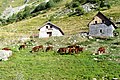 Alpine hytter ved Lauzière d'en Bas