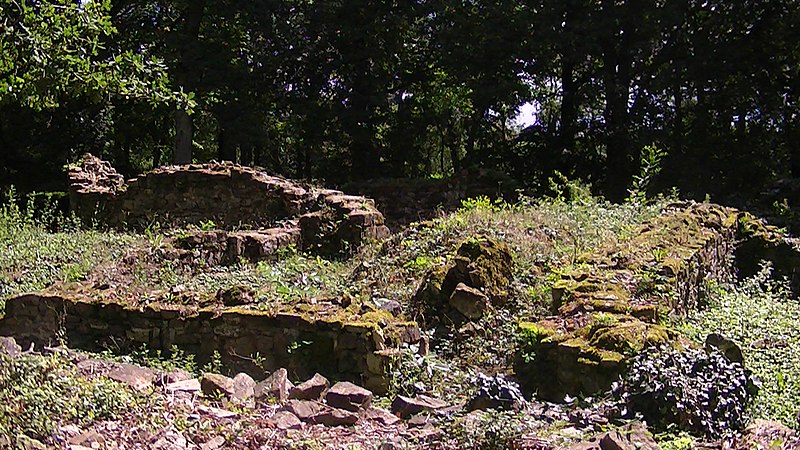 File:Chateau de Champtoceaux ruins4.jpg