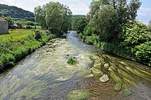 Ang Criers River sa Charercy-Vezin