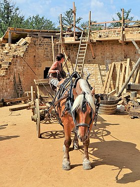 Coachwoman moving his_horse back