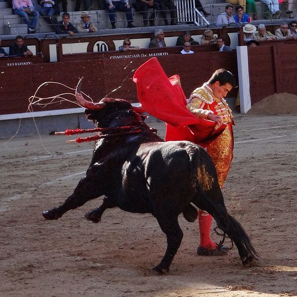 File:Corrida madrid eq 2014-04-13 04.jpg