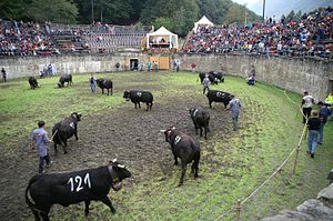 Fêtes, Coutumes Et Jours Fériés En Suisse