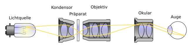 File:Critical Illumination de.svg