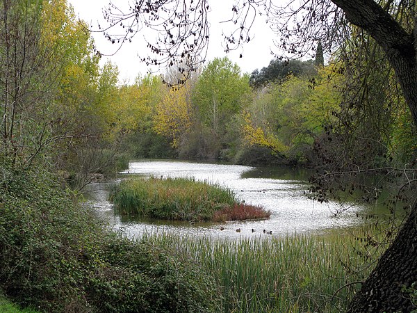 The Manzanares through El Pardo