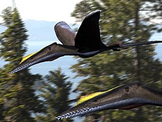 <i>Cuspicephalus</i> Genus of wukongopterid pterosaur from the Late Jurassic