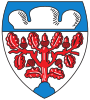 Coat of arms of Langenberg