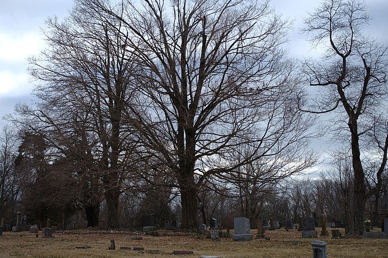 File:Danforth Cemetery - panoramio - Christopher Blake (3).jpg