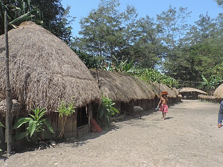 Traditional Dani houses near Wamena in the Baliem Valley
