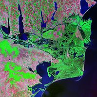 Delta del río Danubio, detalle de Landsat.