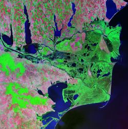 Danube delta Landsat 2000.jpeg