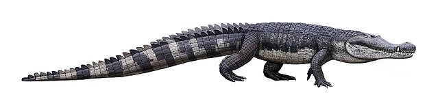 Deinosuchus Reconstruction