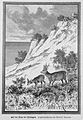 Die Gartenlaube (1888) b 725.jpg Auf der Düne bei Polangen