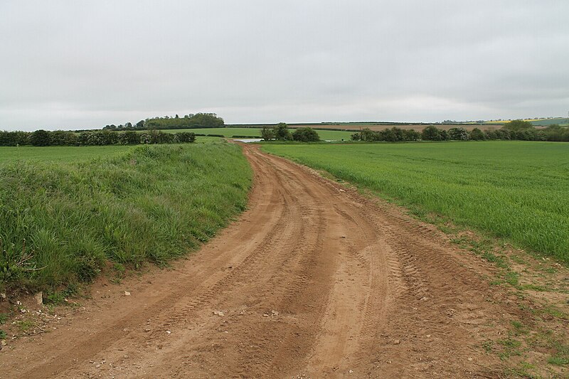 File:Dirt Track, near The Beck - geograph.org.uk - 2952984.jpg