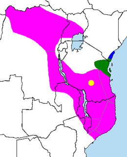 Rhynchocyon Petersi: Génétique, Répartition, Voir aussi