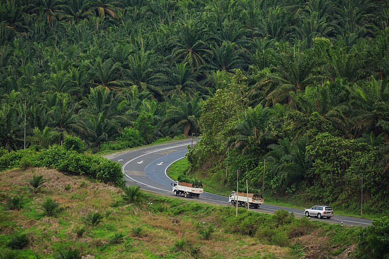 File:District-Kunak Sabah Malaysia-Federal-Route-13-01.jpg