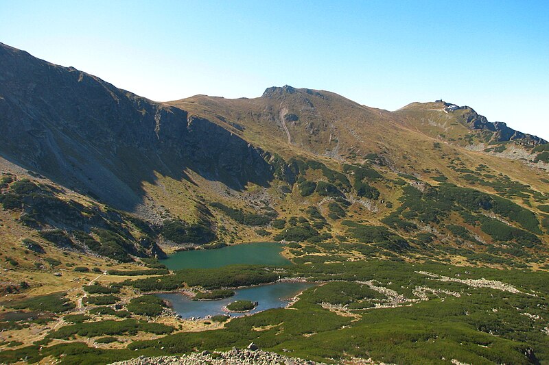 File:Dolina Zielona Gasienicowa Beskid.jpg