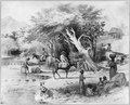 Dominican Republic, 1871)- Procuring water in Via River at Azua, for that city's daily consumption LCCN2003655466.tif