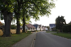 Dorfstraße mit den drei "Kriegseichen"