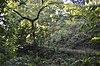 Red Hill Farm Driveway to Red Hill Farm near Pedlar Mills.jpg