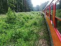EN57 1267 on the line from Liswarta to Herby Nowe. Temporary detour due to track works (11).jpg