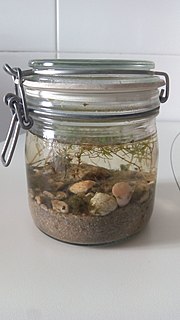 Miniatura para Ecoesfera