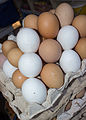 Eggs 001.jpg