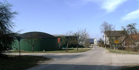 Eichholz (3)