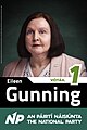 Eileen Gunning, Candidate in Wicklow (49400534402).jpg