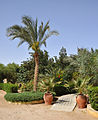 El Gouna R26.jpg