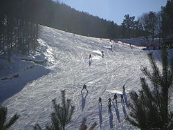 Elatochori snowboard centre.jpg