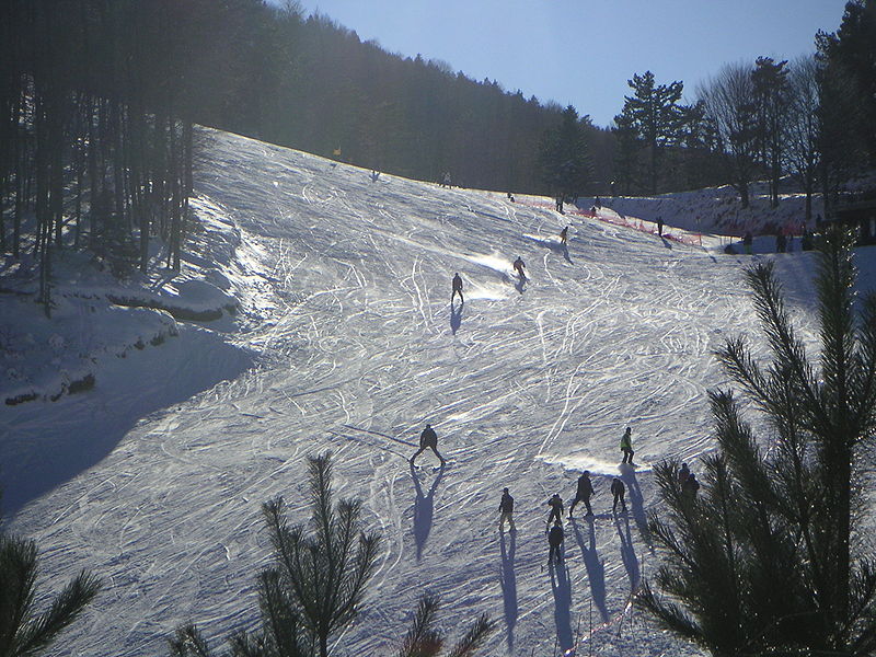 File:Elatochori snowboard centre.jpg