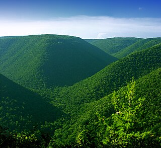 <span class="mw-page-title-main">Elk State Forest</span> State forest in Pennsylvania, United States