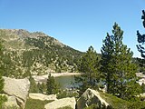 Català: Tossa Plana de Lles-Puigpedrós (Cerdanya, Alt Urgell) (Lles de Cerdanya, les Valls de Valira, Meranges i altres). Fotos preses en una excursió del refugi de Malniu als estanys de Malniu i Mal. This is a a photo of a natural area in Catalonia, Spain, with id: ES510205 Object location 42° 27′ 00″ N, 1° 42′ 00″ E  View all coordinates using: OpenStreetMap Camera location 42° 28′ 37.13″ N, 1° 47′ 54.14″ E    View all coordinates using: OpenStreetMap