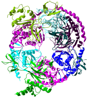 Exosome complex Protein complex that degrades RNA