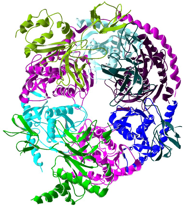 エキソソーム複合体 - Wikipedia