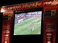 FIFA Fan Fest - Sydney 2.jpg