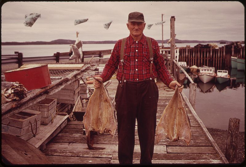 File:FISHERMAN AT MALLOCH BEACH, CAMPOBELLO ISLAND, NEW BRUNSWICK, CANADA - NARA - 550297.jpg