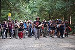 Thumbnail for Fairy Creek old-growth logging protests