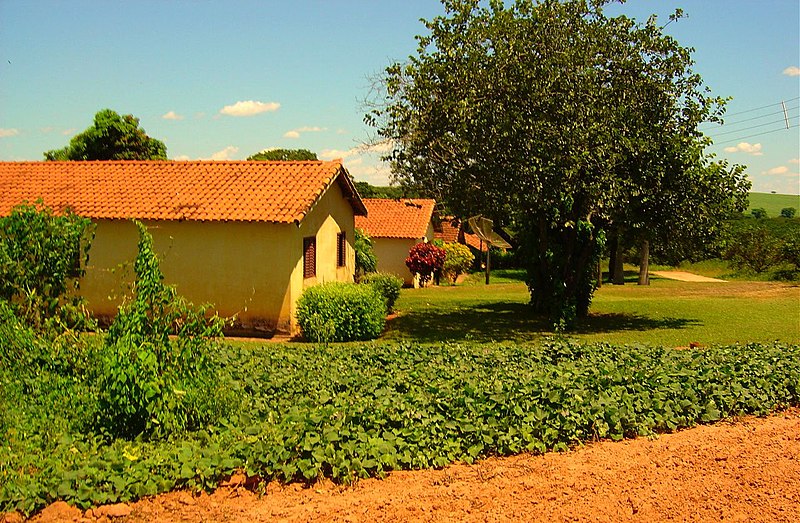 File:Fazenda de Laranja - panoramio.jpg