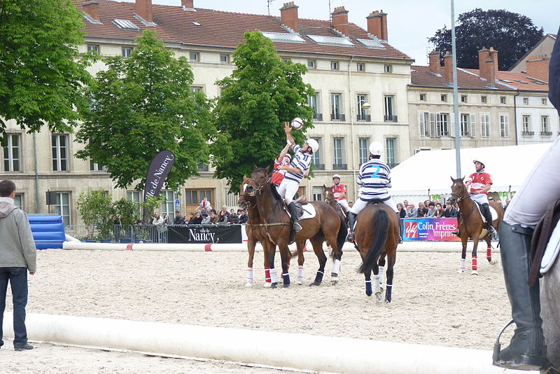 File:Finale du chamionnat de France de Horseball 2010 33.jpg