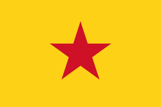 <span class="mw-page-title-main">Đại Việt National Socialist Party</span> Political party in Vietnam