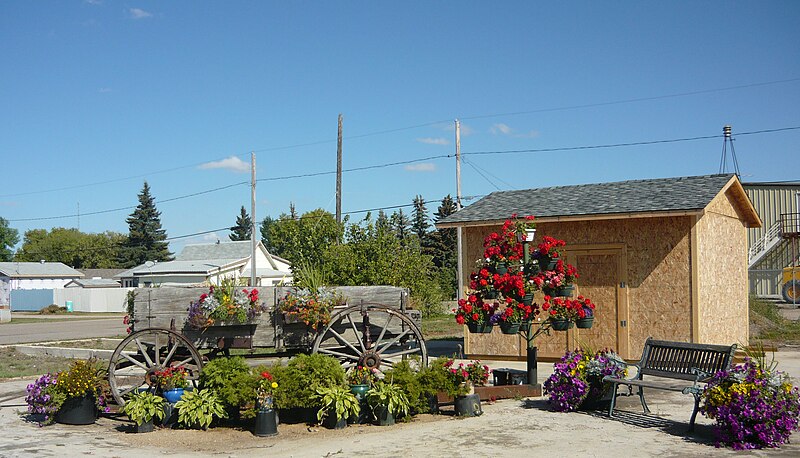 File:Floral Display in Park Delisle Saskatchewan.jpg