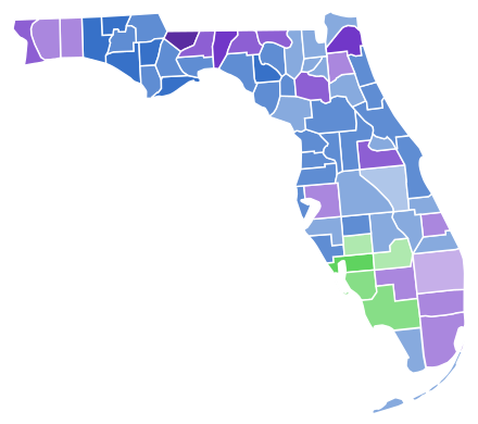 Results by county:
Gillum
<30%
30-40%
40-50%
50-60%
60-70%
Graham
<30%
30-40%
40-50%
50-60%
Levine
<30%
30-40%
40-50% Florida Governor Democratic Primary Results by County, 2018.svg