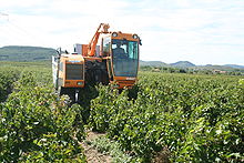 La machine à vendanger Pellenc en action dans le vignoble du Languedoc.