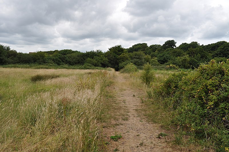 File:Footpath across the fields to Beachley - geograph.org.uk - 1959624.jpg