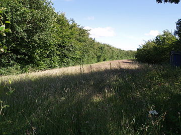 Course of the old railway near Dunsland Cross station. Former railway track - geograph.org.uk - 489446.jpg