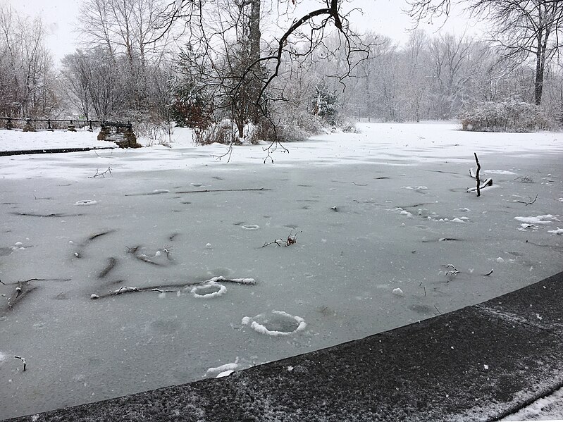 File:Frozen esplanade - Prospect Park Lake.jpg